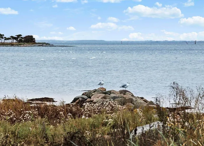 Ae250-aeroskobing-rosenstraede-29 * Aeroskobing